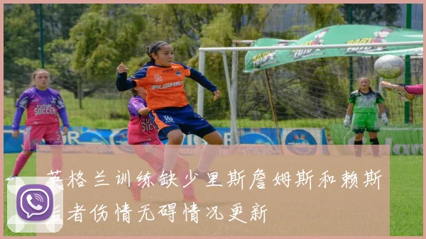 英格兰训练缺少里斯詹姆斯和赖斯后者伤情无碍情况更新